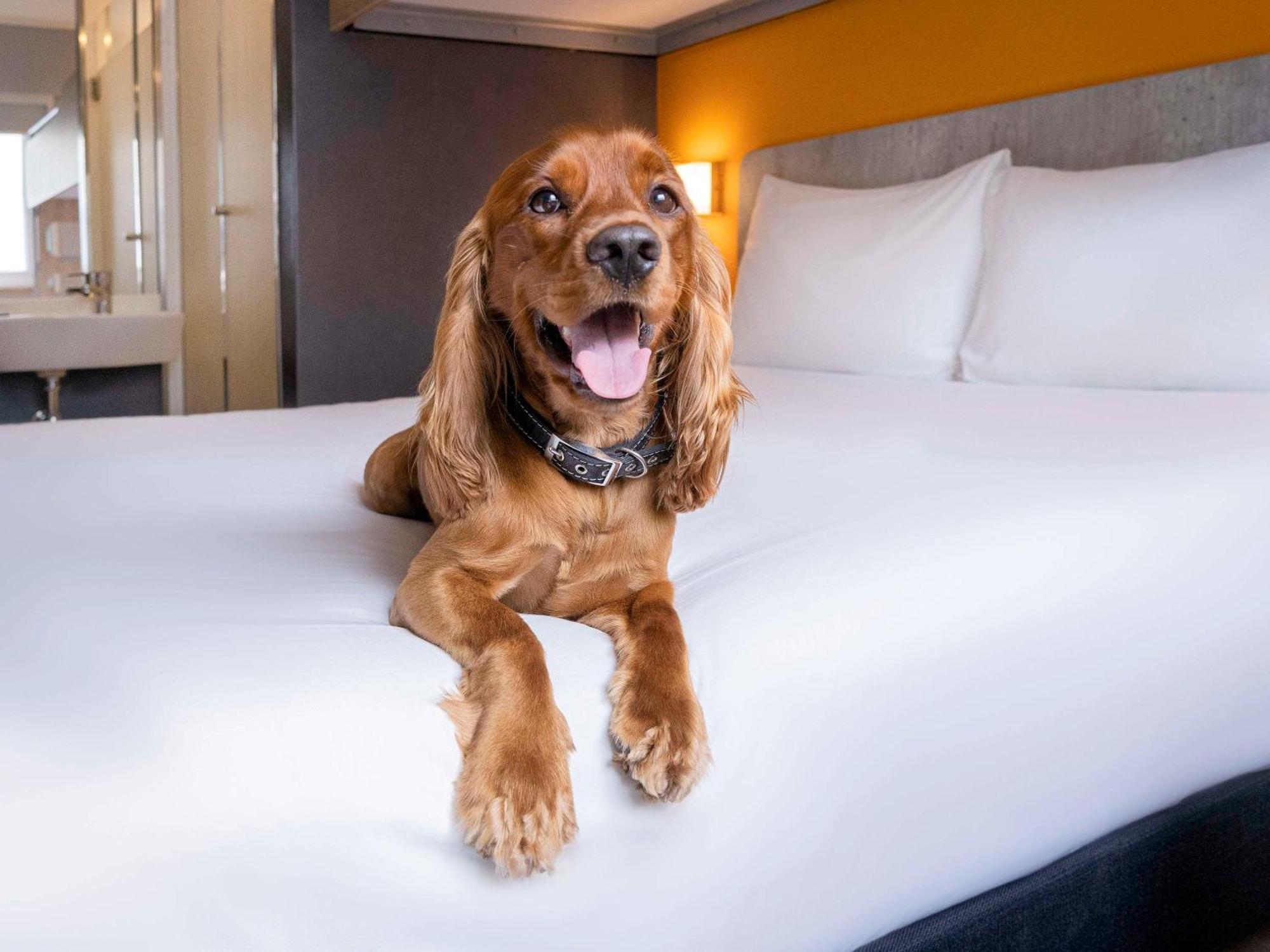 Ibis Budget Lima Miraflores Luaran gambar